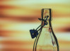 Perfekte Glasflaschen für Alkohol: Ein Leitfaden für Glasflaschen