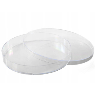 Petri-Schale 140x20mm 10 Stück Ventil PS