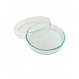 Glas-Petrischale 50x12mm