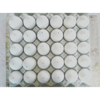 Geblasene Hühnereierschalen 30 Stück zum Dekorieren von Ostereiern