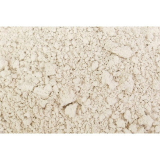 Kieselgur 100g