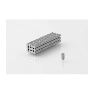 Neodym Magnet 20 Stk Zylinder MW 2x4 N38