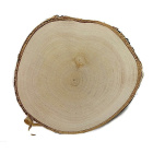 Drevený plát breza obrúsený 10-12cm 1cm