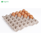 Eierverpackungen für 30 Stück, Set 100 Stück, grau