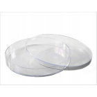Petrischale PS 140x20mm 10 Stück