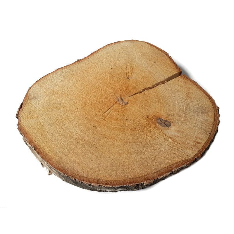Unbehandelter Birkenholz-Scheibe 25-28cm 2,5cm mit Riss megamix.sk