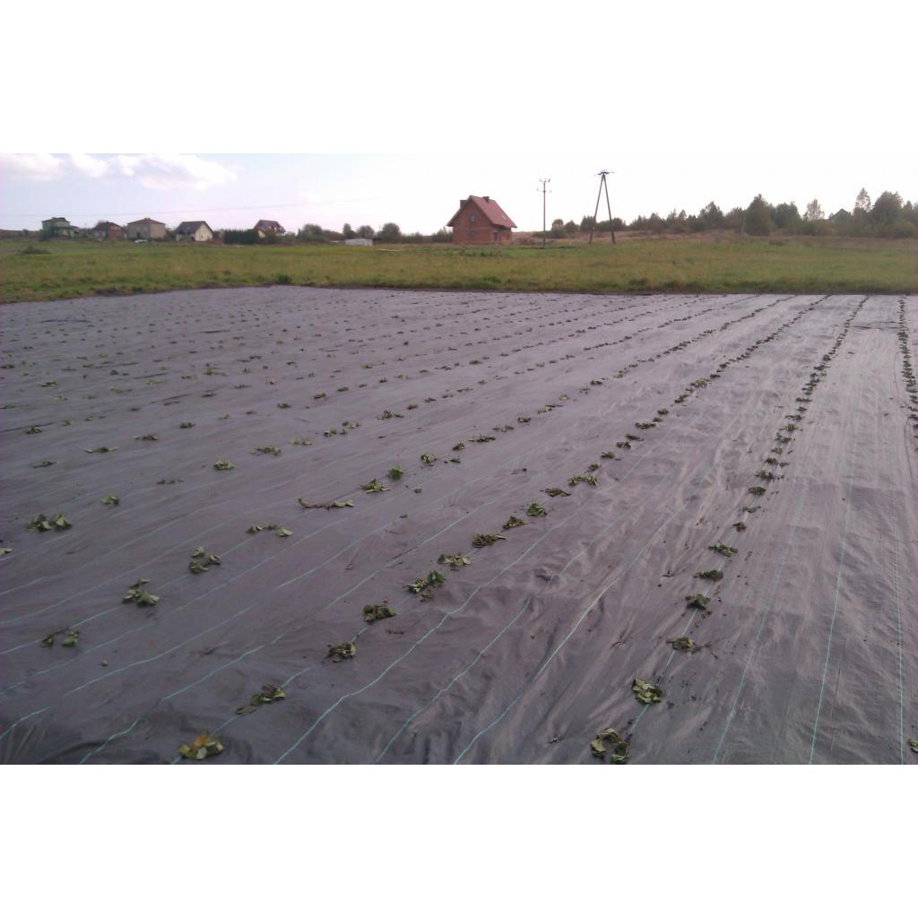 Stahlstifte für Vliesstoff 100 Stück 15 cm 3 mm megamix.sk